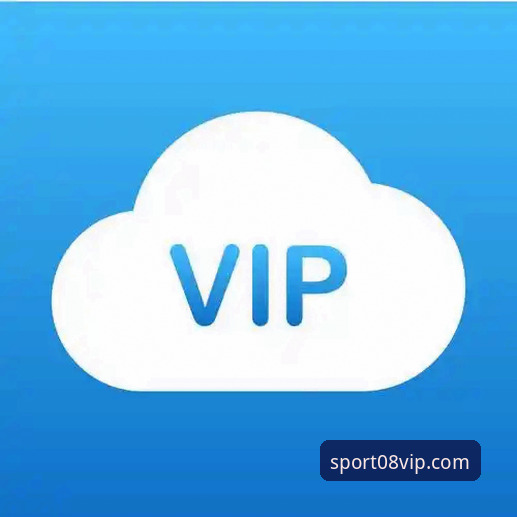 vip客服使用技巧 VIP客服使用技巧详解:新手快速上手08vip平台指南