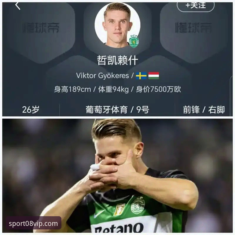 哲凯赖什20球里程碑观赛指南：在08vip体育平台看懂阿森纳锋线密码